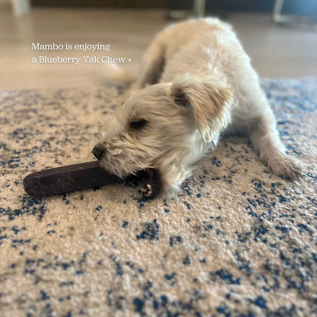 Long Lasting Dental Yak Chews - Cranberry and Blueberry Yak Chews for Dogs