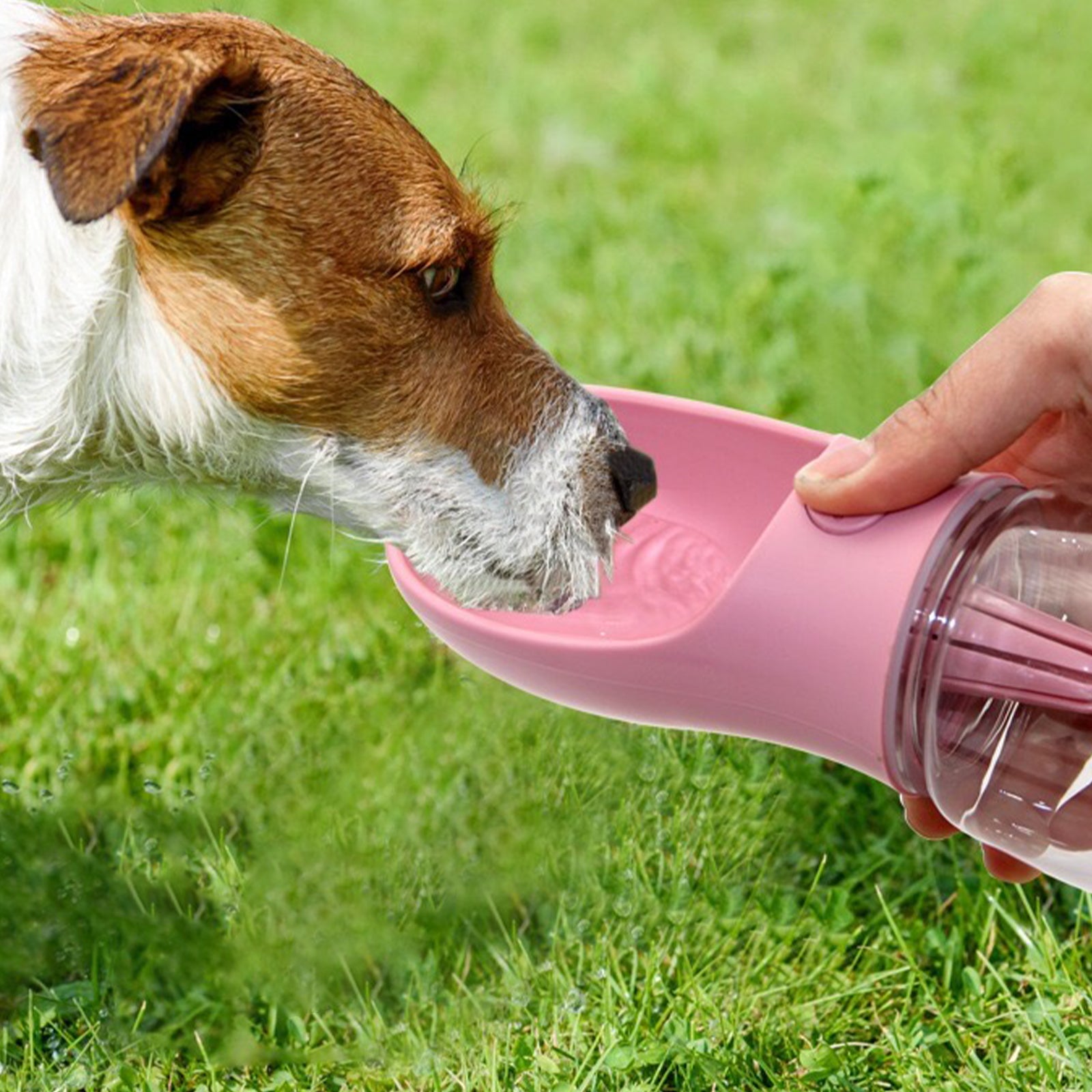 Pet Portable Water Bottle Puppy Dog Cat Cup Drinking Travel Outdoor Feeder Oz