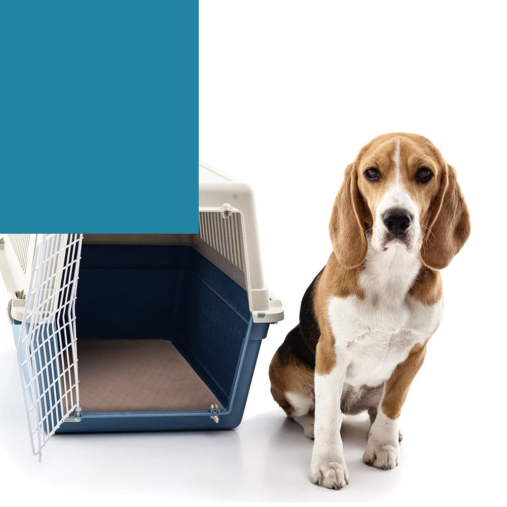 NNEDPE 2pcs Waterproof Washable Training Pee Pads -l NNEDPE