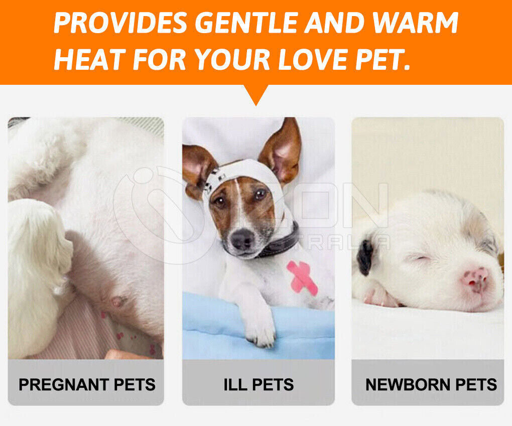 Large Pet Electric Heat Mat AU Plug Warmer Pad Blanket Waterproof Dog Cushion